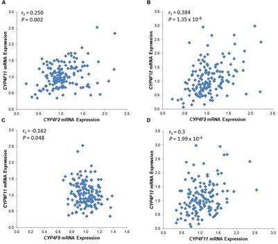 Effect of Genetic Variability in the CYP4F2, CYP4F11, and CYP4F12 Genes on Liver mRNA Levels and Warfarin Response